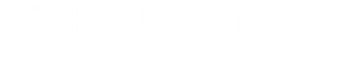Logo Bienestar Senior