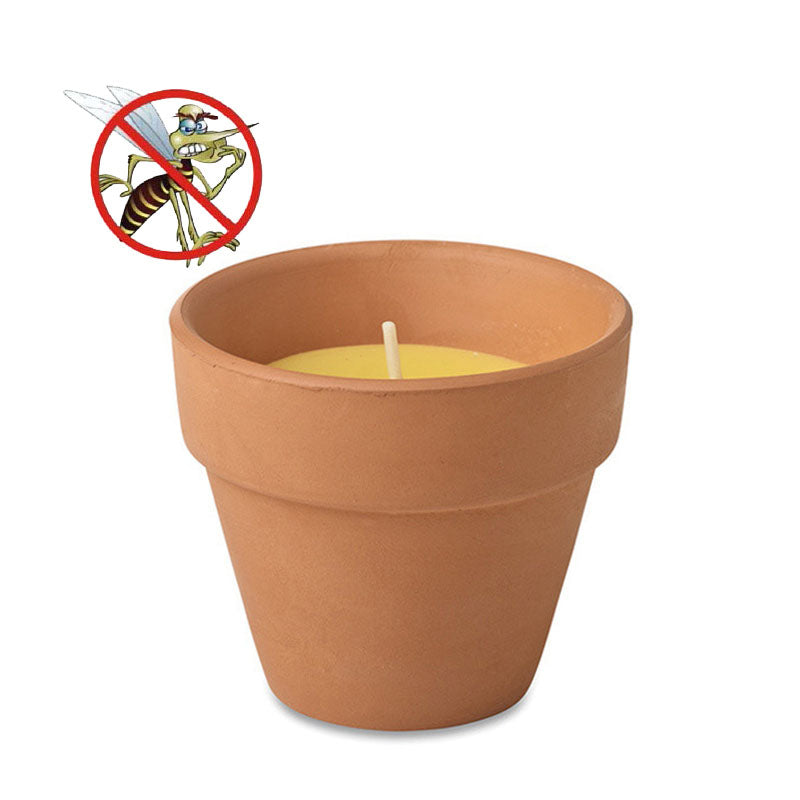 Maceta Pequeña Antimosquitos Citronella (11x10cm.) — Bienestar Senior