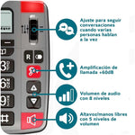 Imagen 5